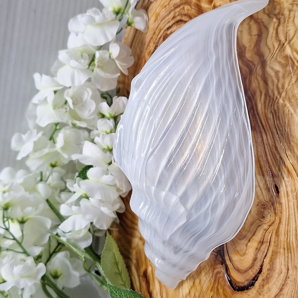 #ADJ  Iridescent Opalescent Art Glass Conch Sea Shell Centerpiece Dish